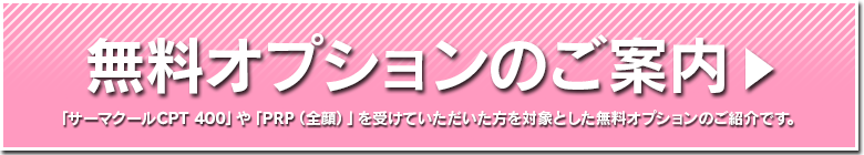 無料オプションのご案内