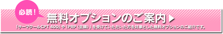 無料オプションのご案内