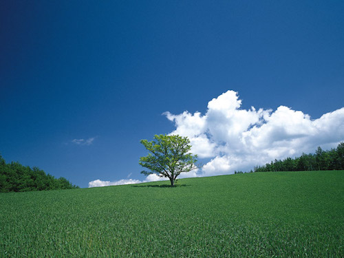 夏の積乱雲