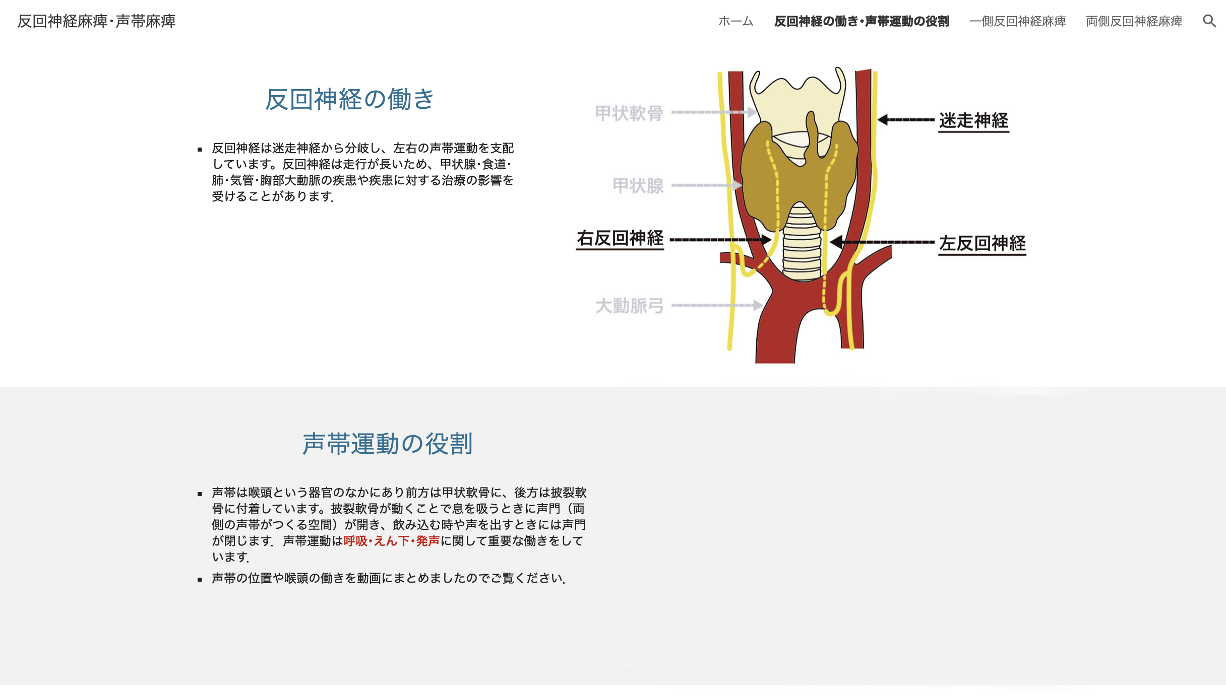 反回神経麻痺外来2